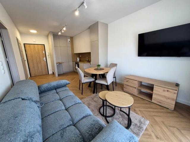 Bocianów 38,50 m², Zabrze