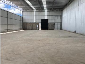 BODEGA 5