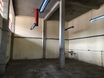 Bodega comercial Congregacion Marfil