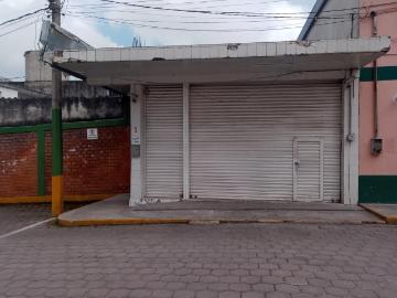 BODEGA COMERCIAL EN RENTA EN EL CENTRO DE BANDERILLA