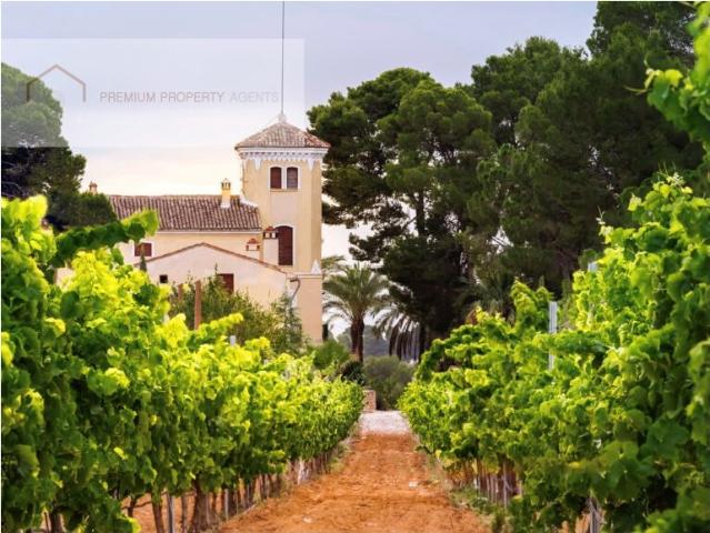 Bodega en funcionamiento con viñedo y suelo agrícola