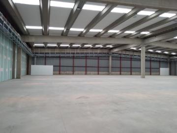 Bodega en Lampa