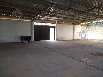 Bodega en Renta Bosques de Cuernavaca