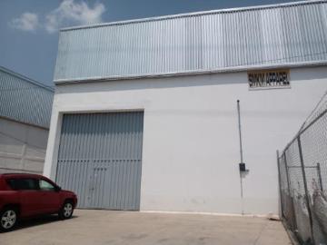 Bodega en renta en Camino Real, Papalotla de Xicohténcatl