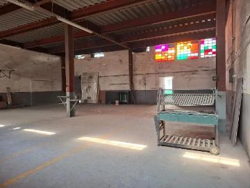 Bodega en Renta en An?huac I Secci?n, Miguel Hidalgo, Ciudad de M?xico