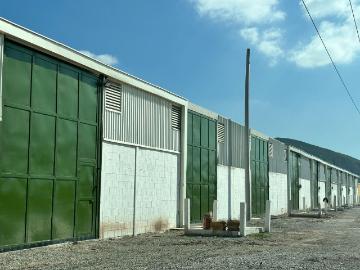Bodega en renta en Los Ángeles, Lerdo, Durango
