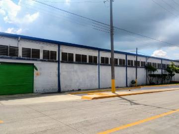 Bodega en renta en Miramar, Altamira, Tamaulipas