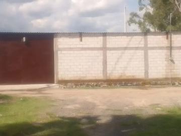 Bodega en renta en San Bernabe Temoxtitla, Ocoyucan, Puebla