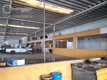 Bodega en Venta, Col. Tierra Nueva