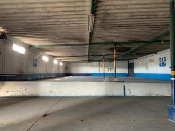 Bodega Industrial en Tierra Nueva