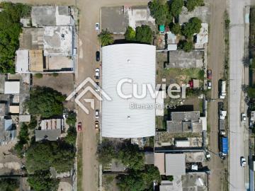 Bodega Industrial en Alejandro Briones