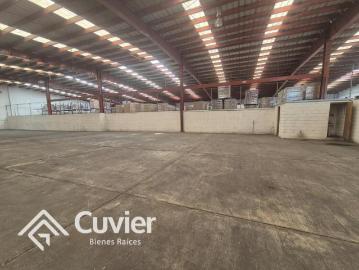 Bodega Industrial en Am?rico Villareal