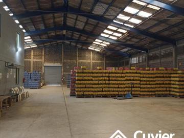 Bodega Industrial en Miramar