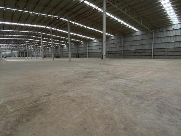 Bodega Industrial en San Luis Potos? de 12,137m2 divisible desde: 1,376 m2