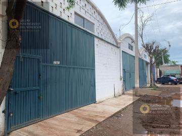 Bodega Industrial Colonia San Rafael