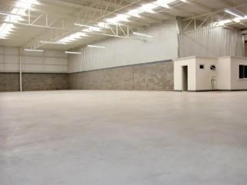 BODEGA RENTA CD INDUSTRIAL TORREON