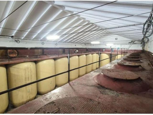 BODEGA VENTA PEREÑA DE LA RIBERA. Urbis te ofrece una bodega en venta en Pereña de la Ribera, Salama