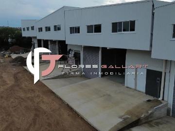 Bodegas en Renta en Parque Industrial Valle de Aguascalientes P