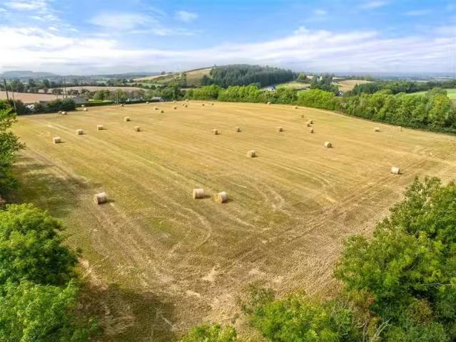 Bodern, Campile, Wexford