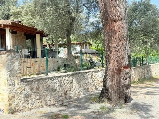 BODRUM ÇAMLIK MAHALLESİNDE YOLA CEPHELİ SATILIK TARLA