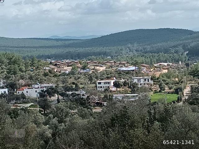 BODRUM ÇAMLIK YATIRIMLIK 2 YAN YANA KOOP.ARSALAR