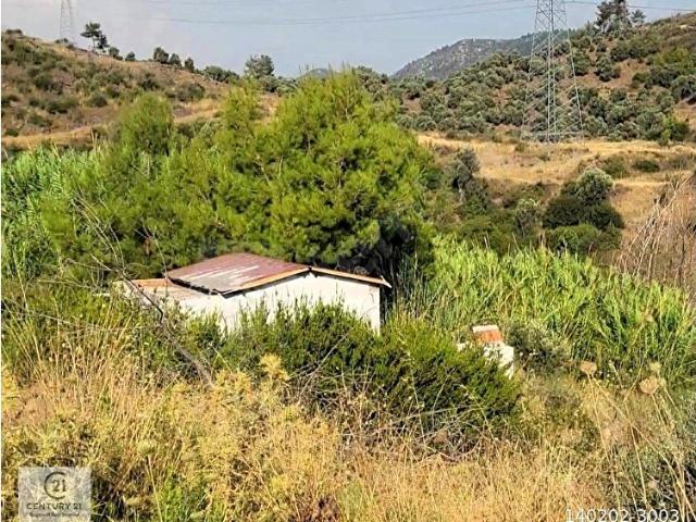 Bodrum Gökpınar da 2.546,87 m2 Satılık Zeytinlik