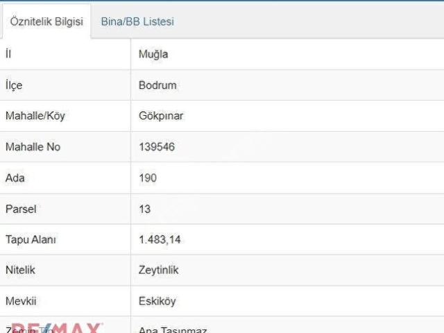 BODRUM GÖKPINAR YATIRIMLIK TARLA