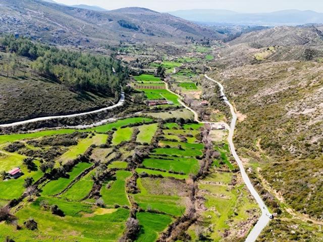 BODRUM GÖKPINARDA MÜSTAKİL PARSEL TARLA