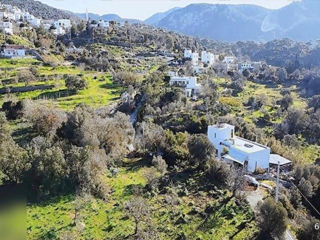 BODRUM DAĞBELEN KÖYÜ 400 M2 YATIRIMLIK KOOP.ARSALAR.