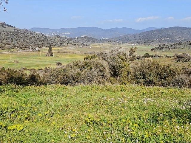 Bodrum Kızılağaç'ta Yatırım Fırsatı! satılık tarla
