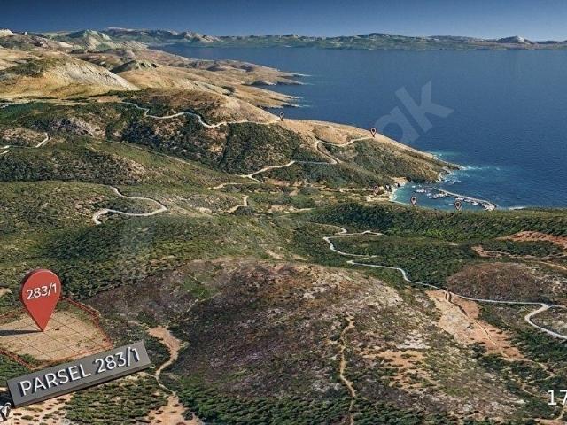 BODRUM ÇİFTLİK'TE YATIRIMLIK TARLA