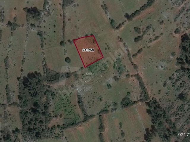 Bodrum Mazı Bahçe Kuyu'da 1.780 m2 Satılık Tarla