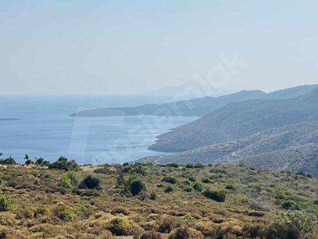 Bodrum Mazı'da Maviye Komşu,Satılık Deniz Manzaralı Tarla