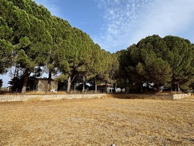 Bodrum Mumcular da 2.560 m2 Tarla Anayola 15 mt
