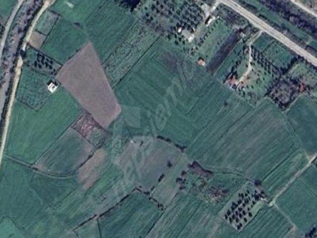 BODRUM MUMCULAR DA ANAYOLA 300 mt MESAFE DE 1.920 m2 SATILIK TARLA