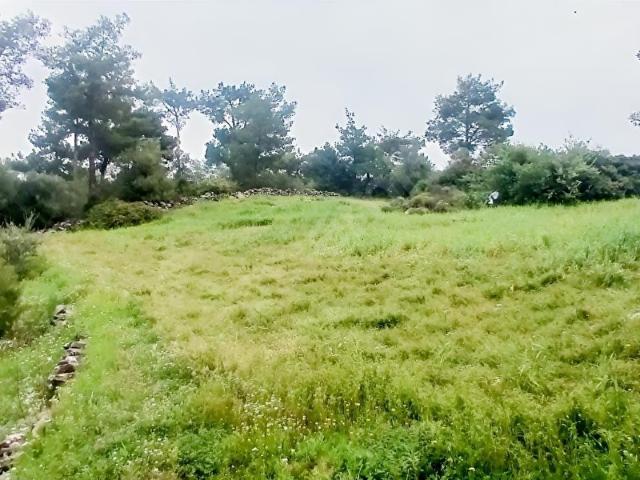 Bodrum Mumcularda 10307 m2 Nadir Arazi Fırsatı