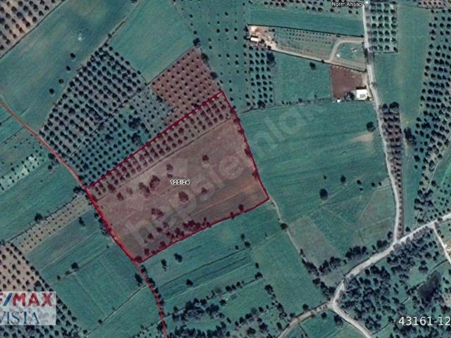 BODRUM SAZKÖY MAHALLESİNDE SATILIK TARLA HİSSESİ 3.786 M2