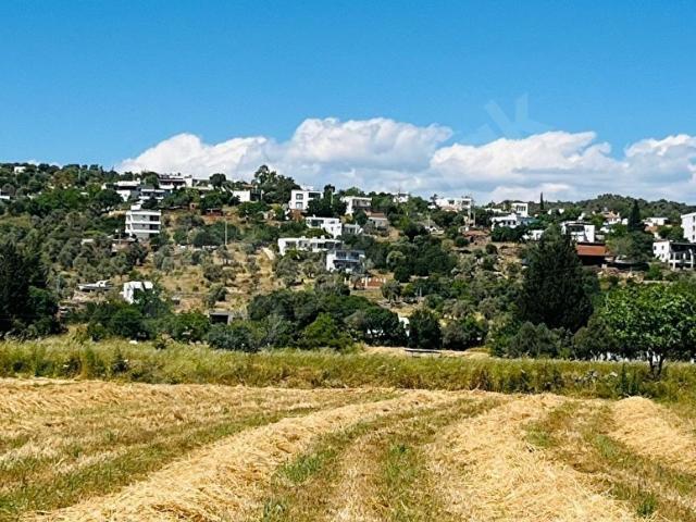BODRUM TEPECİK KAROAVA DA KELEPİR SATILIK TARLA