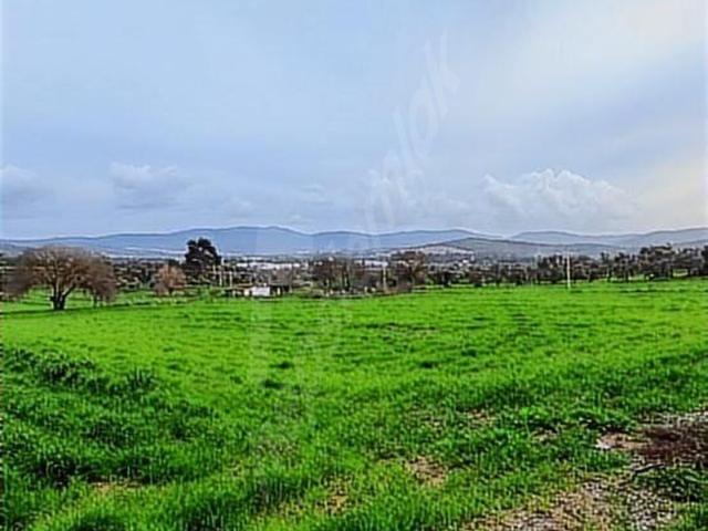 BODRUM YAKINI KÖYLERDE YATIRIMLIK TARLA