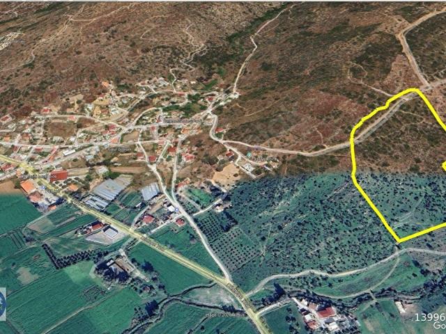 BODRUMMİLAS AKSINDA 45 DÖNÜM HAVALİMANINA 9,1 KM FIRSAT ARAZİ