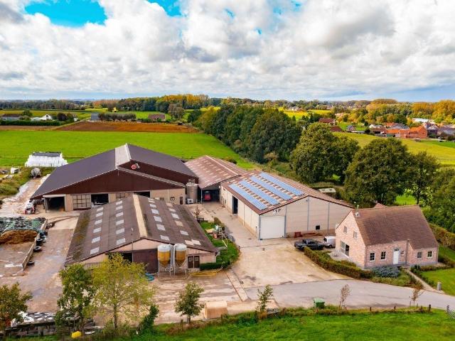 te koop Boerderij Hoeve Baardegem