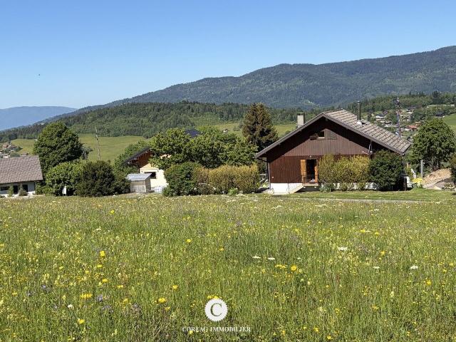 Bogève Vente Terrain 74