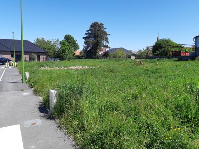 Bois Bernard Vente Terrain 62