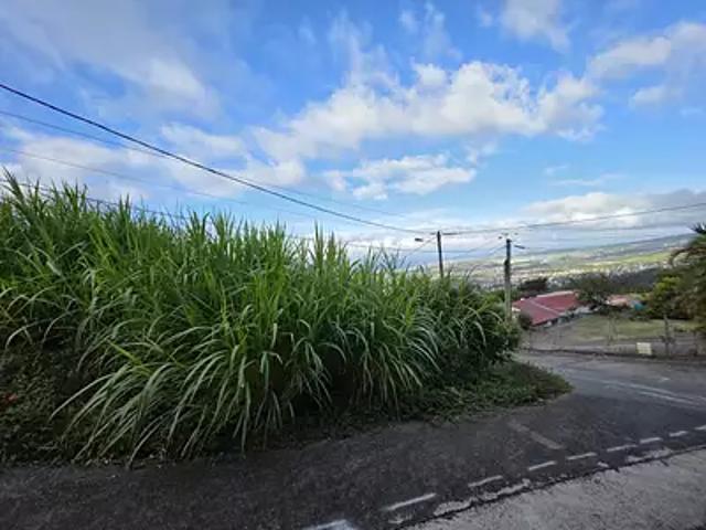 Bois De Nefles Saint Denis 97490 Achat / Vente terrain