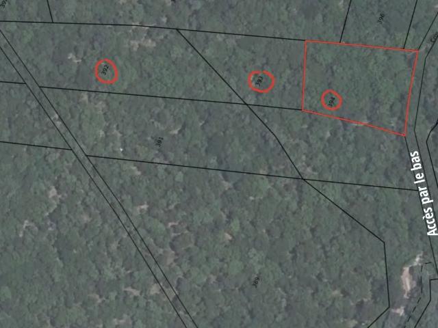Bois de 4 000 m² environ non constructible