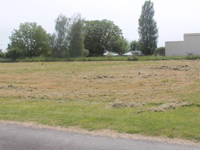 Bois Vente Terrain 17