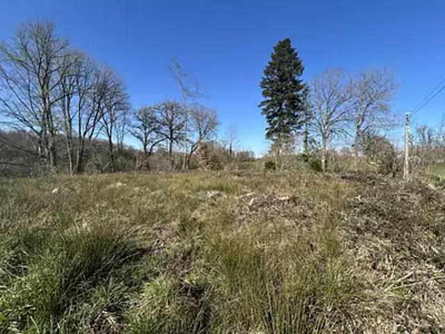 Boisseuil 87220 Achat / Vente terrain