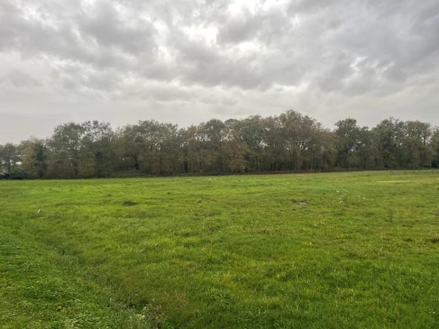 Boisredon Vente Terrain 17