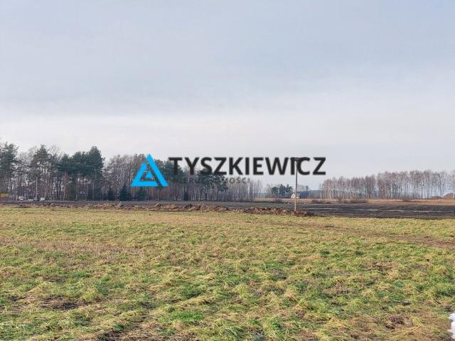 Bojano, 1 432 m2