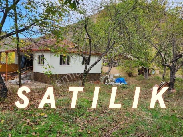 Bolu Mudurnu Çavuşderesi Köyde Acil Satılık 1780m2 İmarlı Ev Ve Arsa